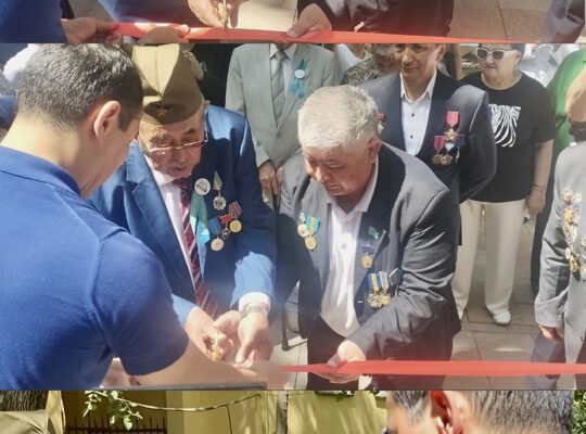 Торжественная церемония открытия «Аллеи ветеранов».